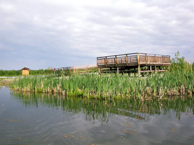 The tower at damroad