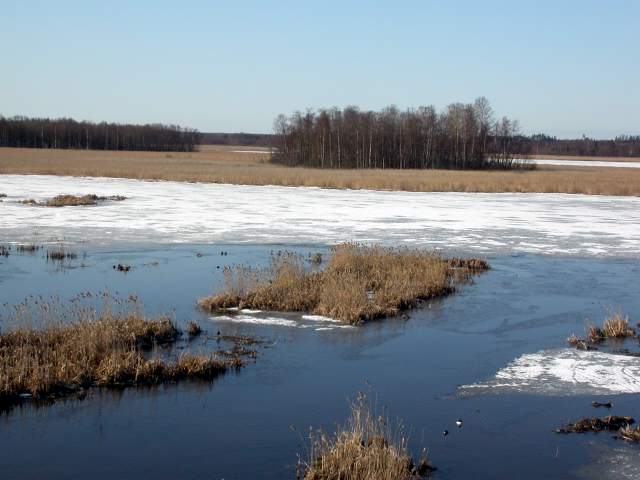 Siikalahti by spring